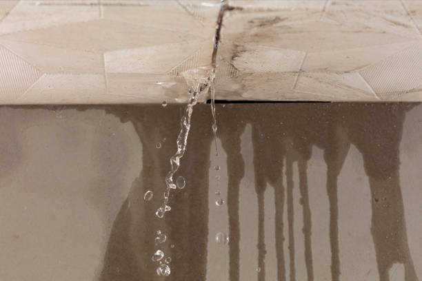 Professional Water Extraction technician working in Blue Jay, CA